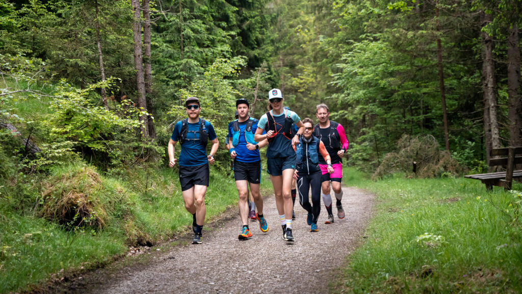 Die Teilnehmer des Achensee Laufcamps sind in der Waldlandschaft der Region unterwegs.